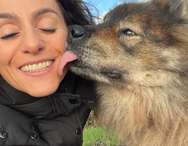 Cherche garde pour mon Eurasier Ioki