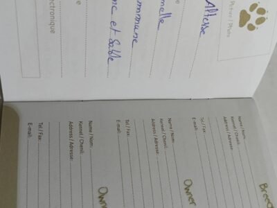 À l'adoption