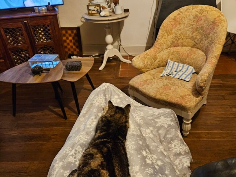 Je me propose pour garder vos animaux à votre domicile