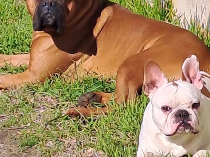 Zeus et Eros