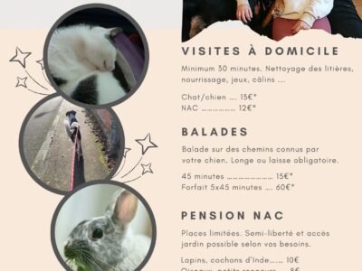 Visites à domicile sur Toulouse et alentours Dpt 31