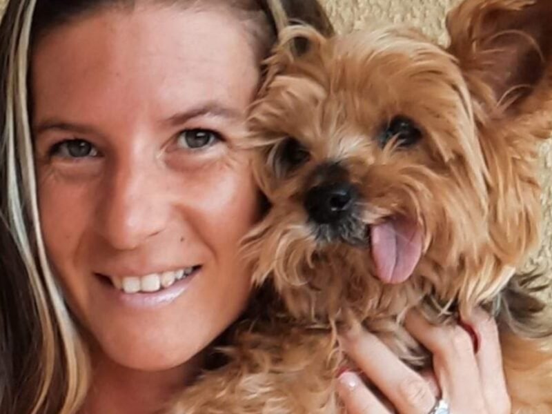 Pet sitter chien et chat à Castelginest Dpt 31