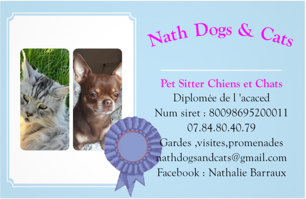 Pet sitter chien et chat à Castelginest Dpt 31