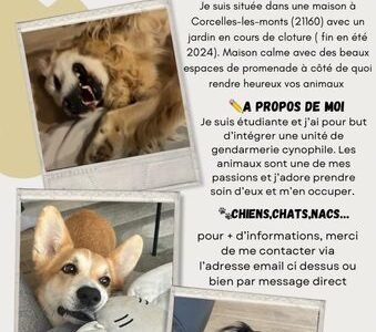Je propose des promenades proche Dijon Dpt 21