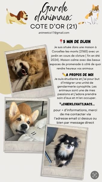 Je propose des promenades proche Dijon Dpt 21