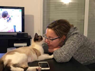 Je propose de Promener vos animaux proche Courthezon Dpt 84