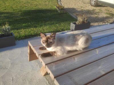Echange de garde