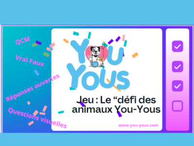 Jeu "Le défi des animaux You-Yous"